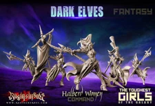 Raging Heroes Dark Elves Halberd Women Command Group Female Fantasy 28mm