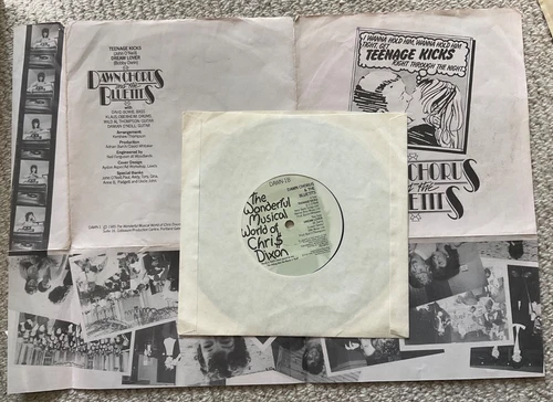 DAWN CHORUS & BLUETITS "TEENAGE KICKS" UK 1985 1ST POST PUNK DAVID BOWIE / MINT-