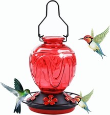 Glass Hummingbird Feeder for Outdoors Hanging, 24Ozs Humming Bird Nectar Feed...