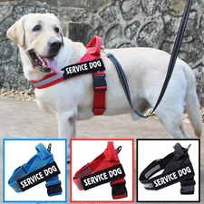 Nylon Dog Harness Dog Leash Lightweight Nylon Dog Vest Adjustable