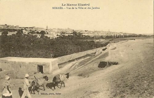 Cartes postales de collection du Maroc en ville