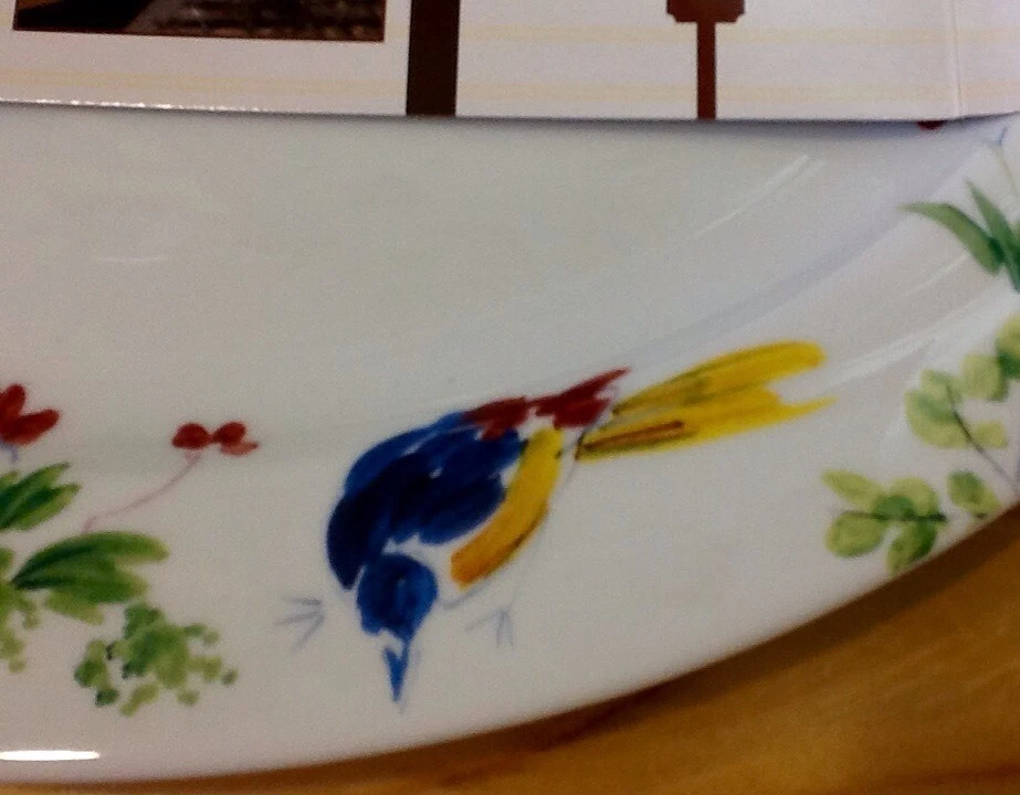 全新 Paula Deen 弹簧 MEDLEY 图案 14 英寸椭圆形餐盘 鸟花 — 第 3/4 张图片