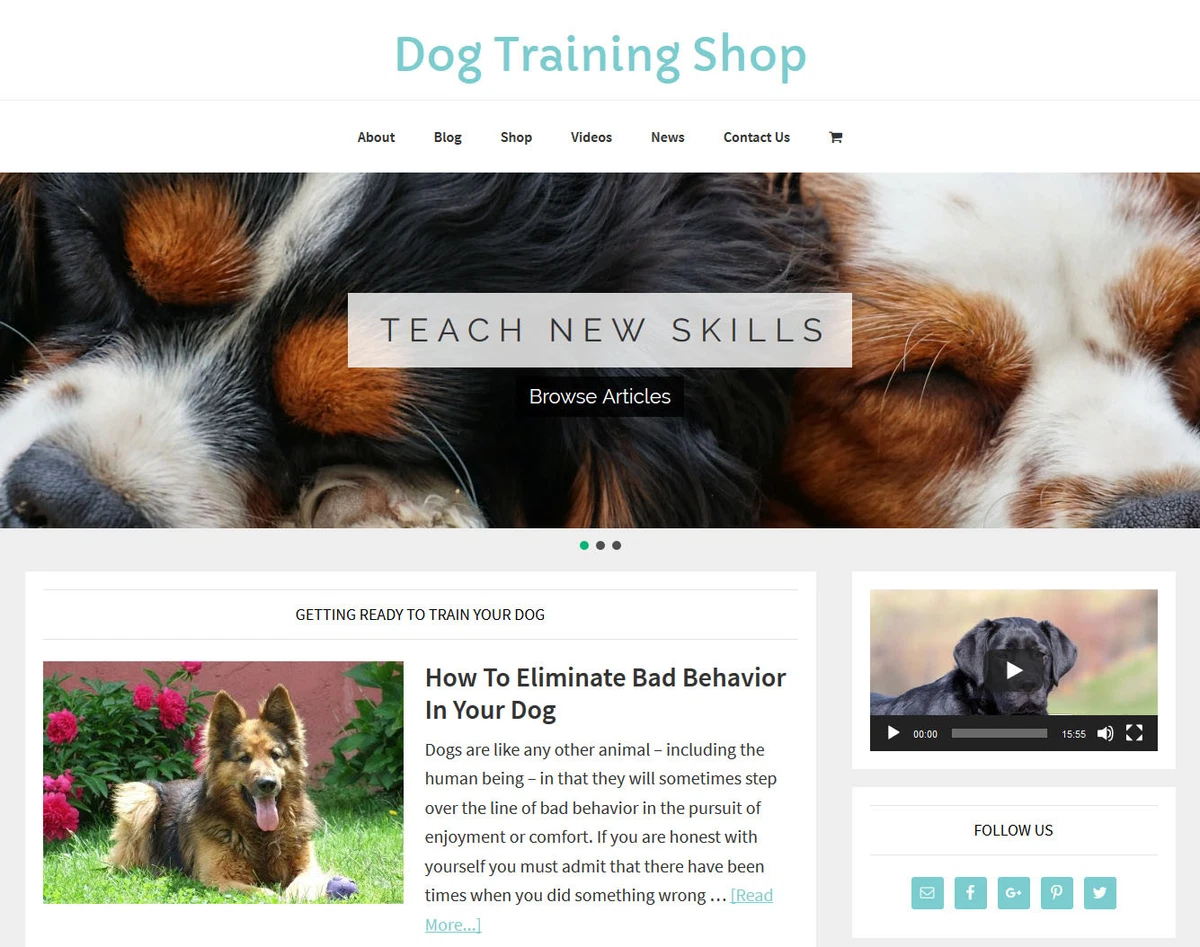 Dog top training store