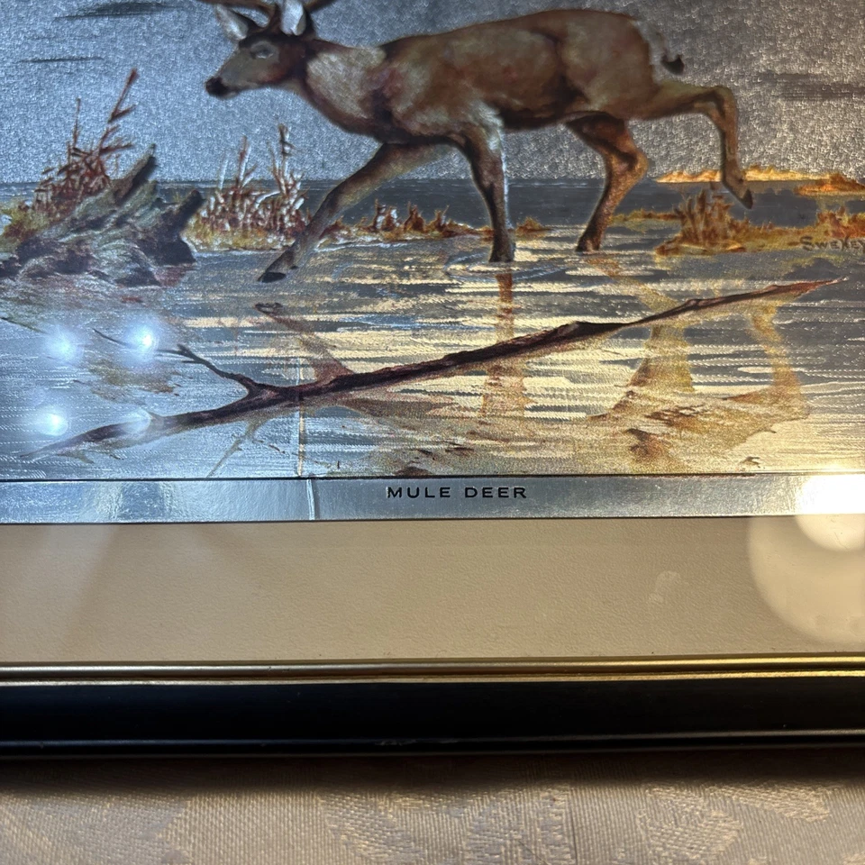 Mule Deer Print By Fred Sweeney - Image 2 of 3