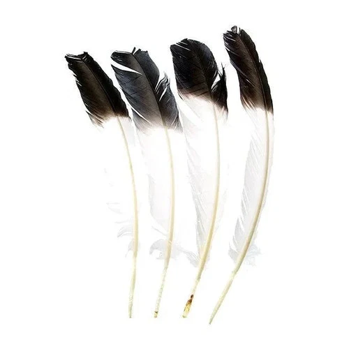 Native American Style Imitation Eagle Feather 10–12″ - Smudging, Ritual & Prayer