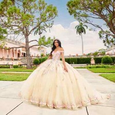  1,679 Ariana Vara Princesa Quinceanera Dress PR30155  CHAMPAGNE/MULTI  2
