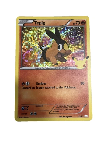 Raichu Pokemon Card