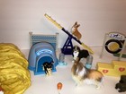 toy dogs and training stuff — photo 2