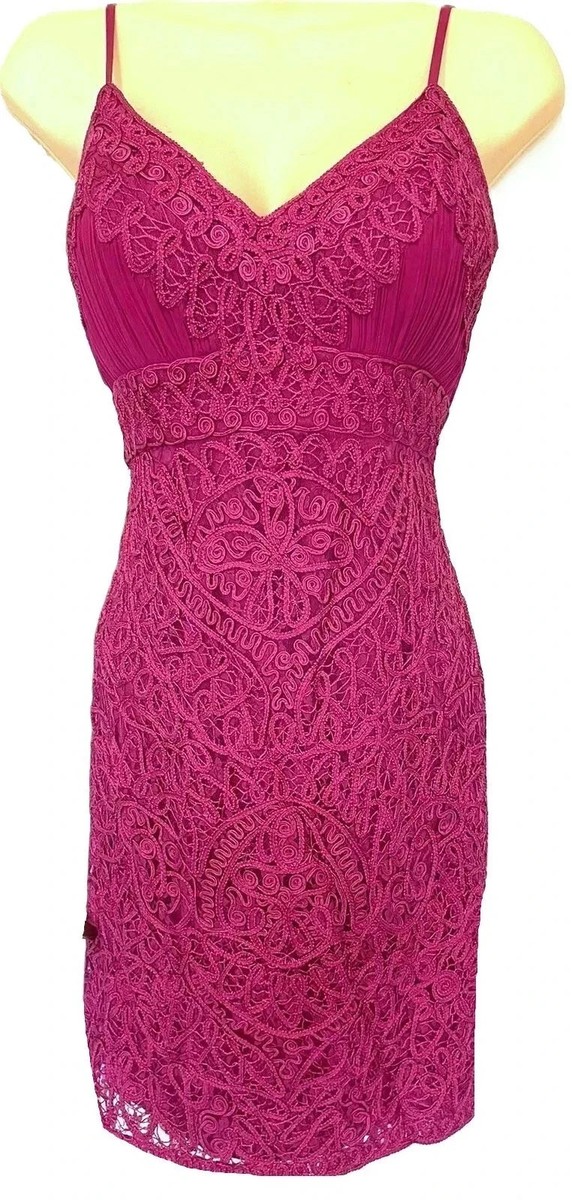 Sue Wong Hot Pink Embroidered Prom Cocktail Formal Sheath Dress 4
