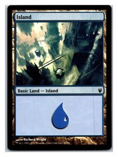 Duel Decks: Izzet vs. Golgari #40 Island (40)