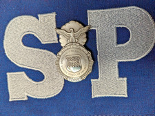 Vintage Small Size USAF United States Air Force Security Police Pinback Badge