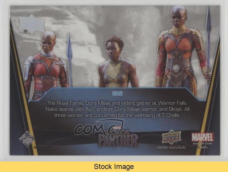 2018 Upper Deck Marvel Black Panther Acetate Challenge at Warrior Falls READ 5l3 thumbnail 2
