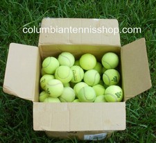 120 Used Tennis balls, great for walkers, chair legs, dogs, cats many ways 2 use