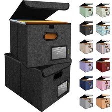 File Organizer Box with Lid, Collapsible File Folder Organizer with Plastic S...