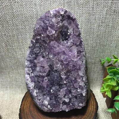 844g Natural Amethyst Cluster Geodes Cut Base Quartz Crystal Healing Specimen 39
