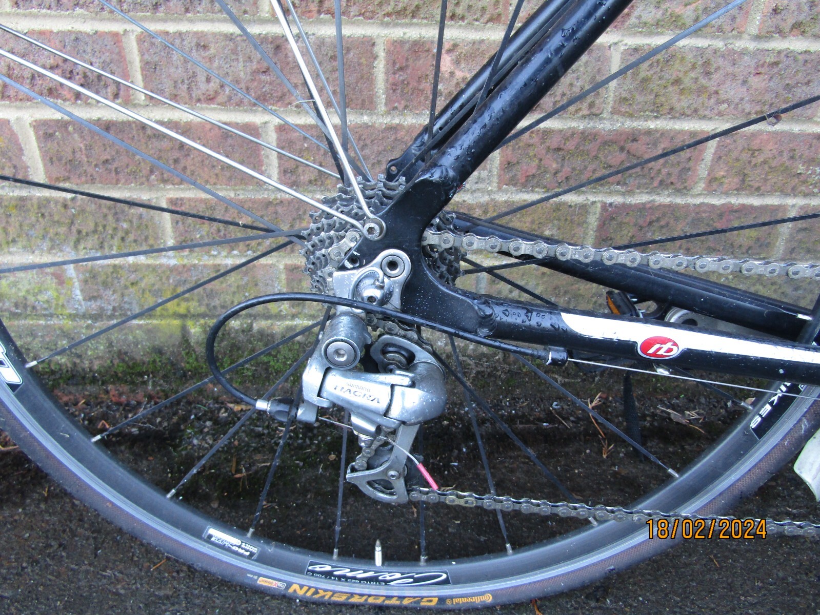 ridgeback genesis day 01