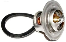 Raypack 006719F Unitherm Governor Capron