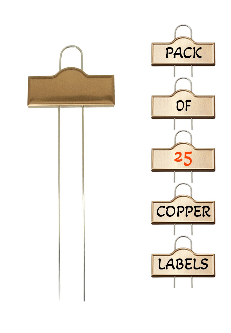 Copper Plant Label Tags – Decorative Garden Markers for Pots & Borders 25 PACK