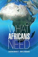 What Africans Need Chukwuemeka E. Onyejinduaka Taschenbuch Englisch 2013