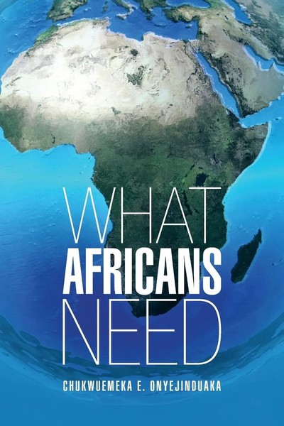 What Africans Need Chukwuemeka E. Onyejinduaka Taschenbuch Englisch 2013-image