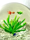 Murano Style Glass Koi Fish Frog Seaweed Aquarium Paperweight Medium