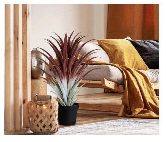 tyros aloe vera company TrueAloe