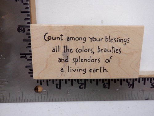 NORTHWOODS COUNT AMONG BLESSINGS BEAUTIES EARTH WOOD RUBBER STAMP EUC L3651
