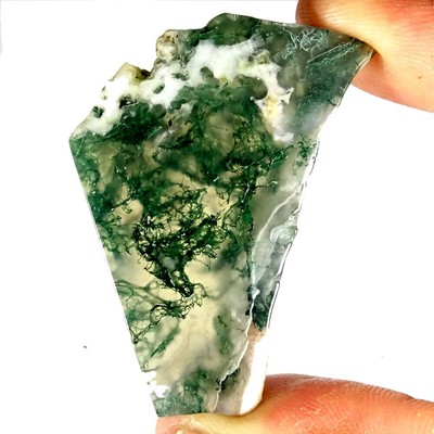 88.85Cts. QUALITY GEM GREEN MOSS AGATE POLISHED ROUGH FROM AFRICA | eBay