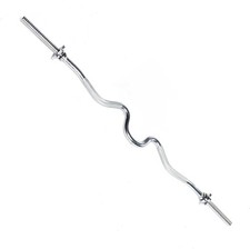 Barbell Standard 1-Inch Threaded Curl Bar with Collars