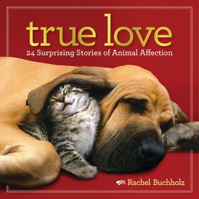 True Love: 24 Surprising Stories of Animal Affection by Buchholz, Rachel NEUF