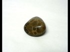 Foto 2 di 5