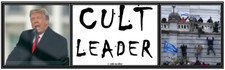 anti Trump: CULT LEADER political bumper sticker
