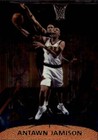 1999 Topps Stadium Club Basketball One of a Kind Antawn Jamison #4