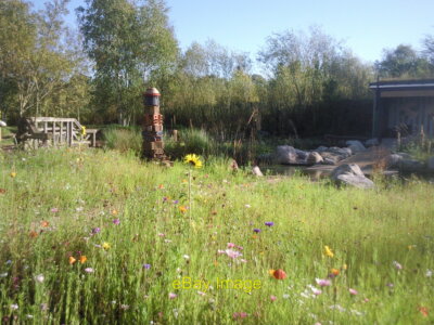 Foto 6x4 RBC Regengarten im London Wetland Centre Barnes Photographe c2010