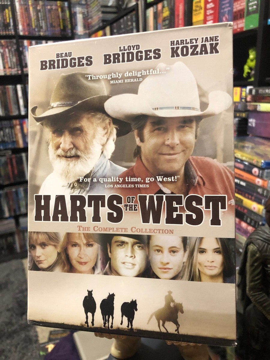 O-698】To Heart To Heart2 DVD BOX Amazon.com: To Heart 2