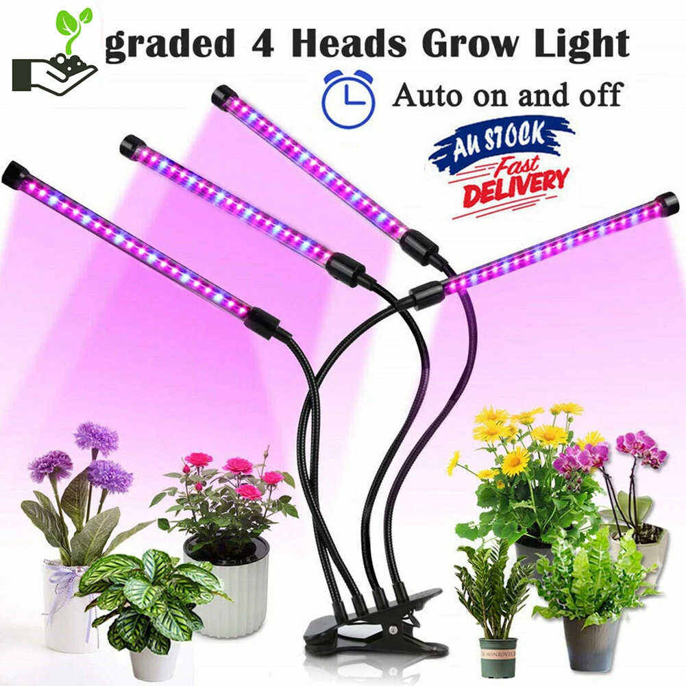 10W 20W 30W 40W LED Grow Light Plant Light for Indoor Full