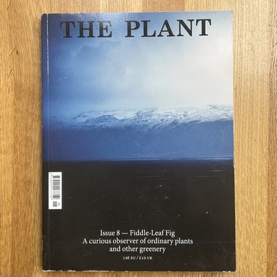 THE PLANT Magazine  issue 8 Fiddle Leaf Fig