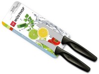 WüSthof 9313 Messerset 2-Teilig GemüSemesser + SchäLmesser Schwarz / GrüN / Rot