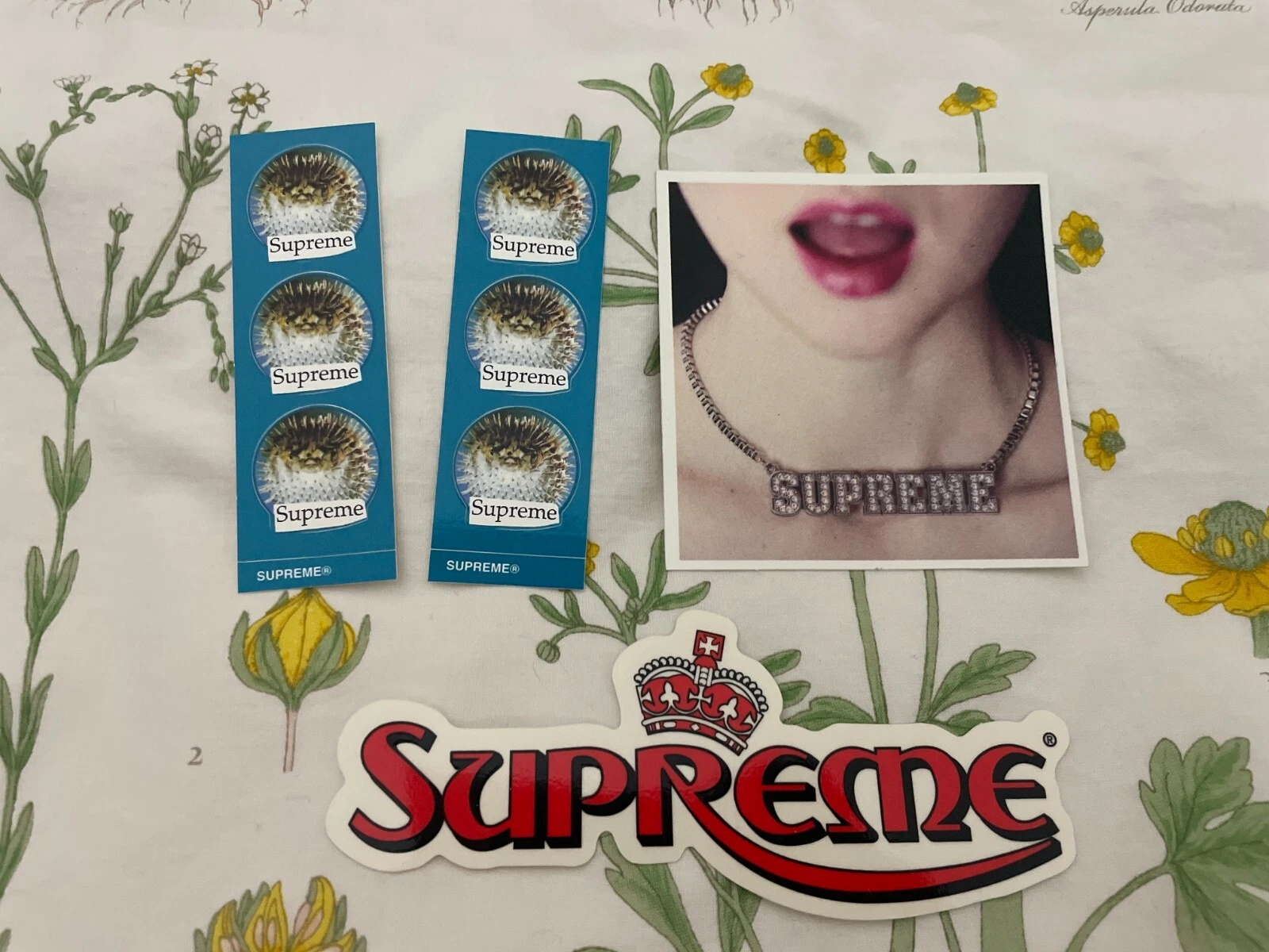 Stickers Supreme   Lot de 4   2 autocollants Blowfish, logo couronne et collier