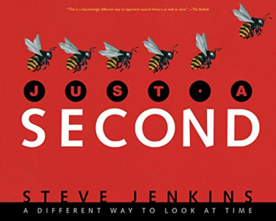 Just a Second - Paperback NEW Jenkins, Steve 01/11/2017