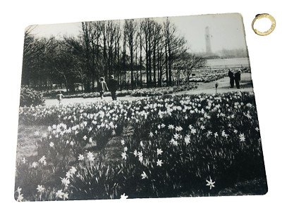 Tischset Mauspad Stanley Park Blackpool Vintage Bild Blumengärten bcs