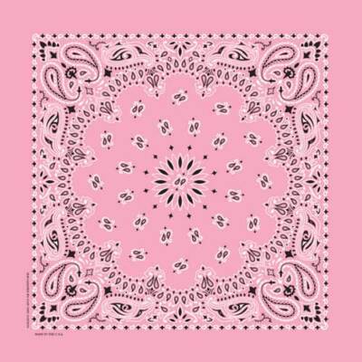 Hav-A-Hank USA Made 100% Cotton Paisley Bandannas Bandanas 22''X22''