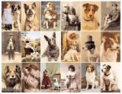 Postcard Dogs Hall, Libby: