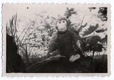 photo anonyme - singe en peluche dans la nature - snapshot jouet 1950 monkey toy