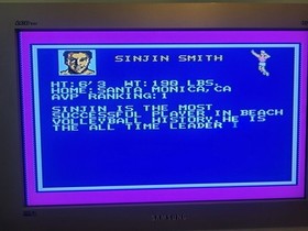 Kings Of The Beach ( Nintendo NES, 1990) Game Cartridge Only Tested & Working