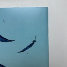Bild 8 von 16