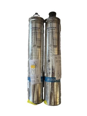 2 Pack Pentair Everpure H-300-NXT Quick-Change Filter Cartridge, EV927441 READ