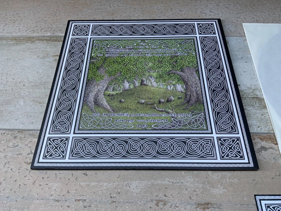 Fire + Ice  Runa  rare vinyl LP 2012  DEATH IN JUNE  SOL INVICTUS   FIRE AND ICE - Image 3 of 4