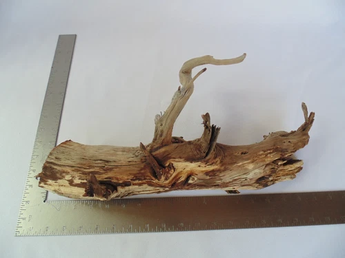 Driftwood Manzanita Branch Aquarium Terrarium Aquascape Reptile 'Holes' Decor