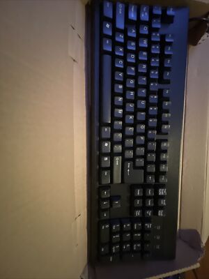 Chicony KB-2961 Wired Keyboard